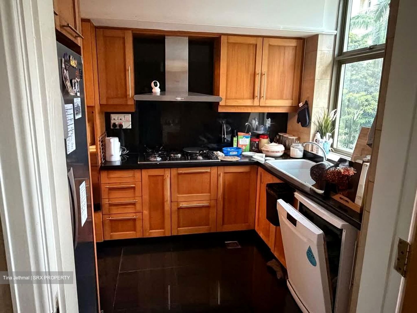 Gardenville (D10), Condominium #567963801